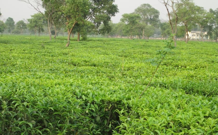 Bagdogra