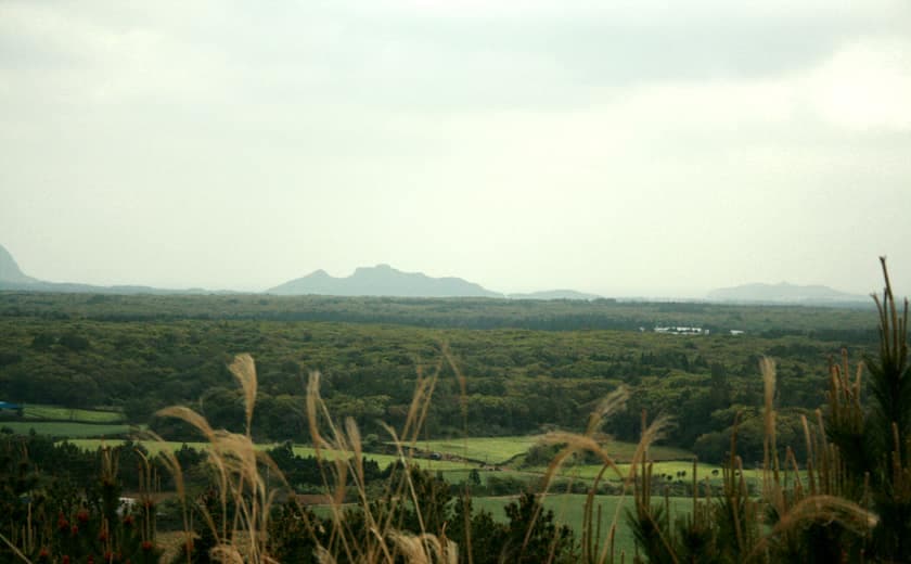 Jeju