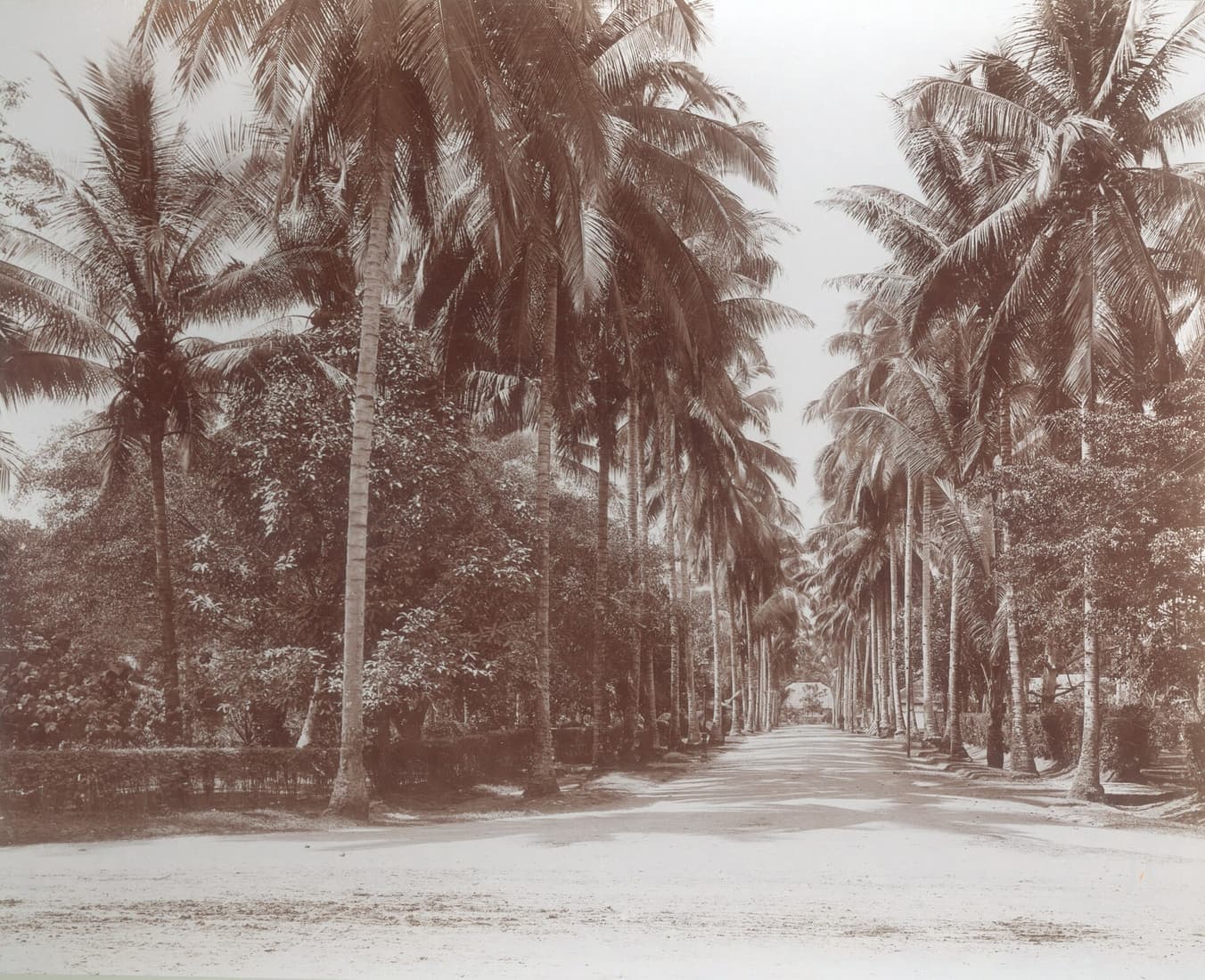 Medan